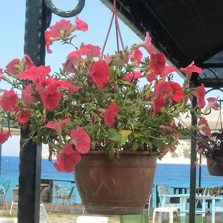 Bed & Breakfast Derin & Naz