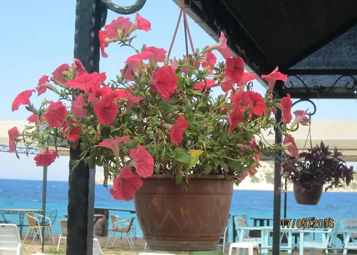 Bed & Breakfast Derin & Naz